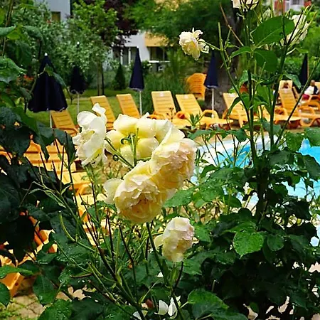 Hotel apartamentowy Mng Yassen 4*
