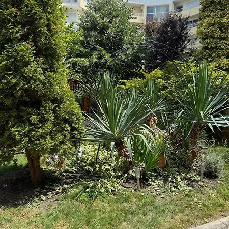 Апартхотел Mng Yassen 4*